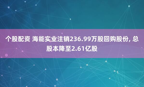 个股配资 海能实业注销236.99万股回购股份, 总股本降至2.61亿股