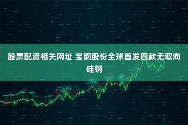 股票配资相关网址 宝钢股份全球首发四款无取向硅钢