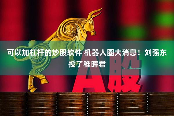 可以加杠杆的炒股软件 机器人圈大消息！刘强东投了稚晖君